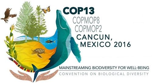 Declaración de Cancún sobre integración de la conservación y la utilización sostenible de la biodiversidad para el bienestar
